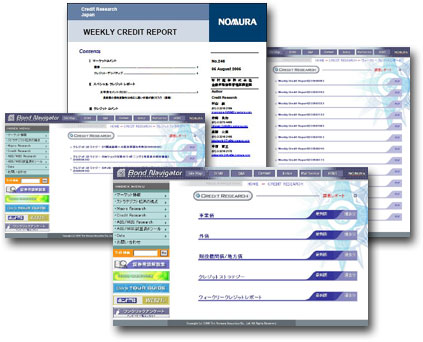 Credit Score Interpretation